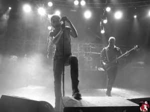 MFest - Rouziers-de-Touraine 2014 (Trepalium)